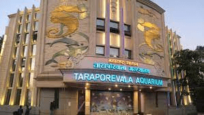 Aquarium in Mumbai