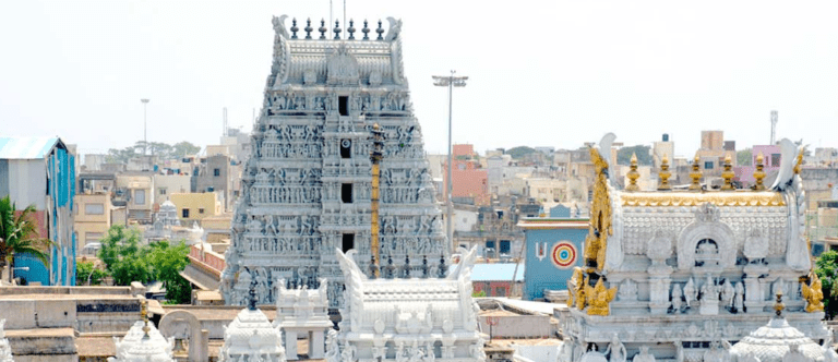 triplicane parthasarathy temple